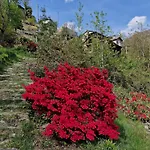 Casa Piccola * Falmenta