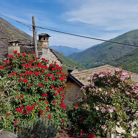 Tatil Evi Casa Piccola Falmenta