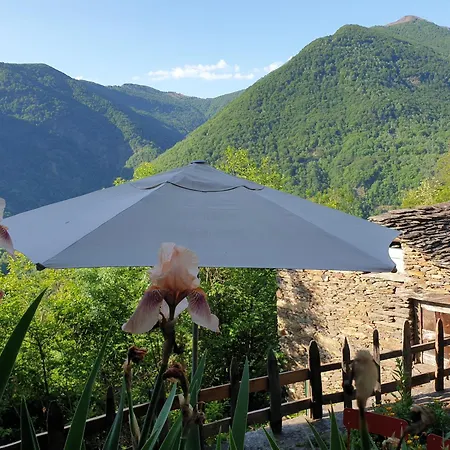 Casa Piccola Tatil Evi