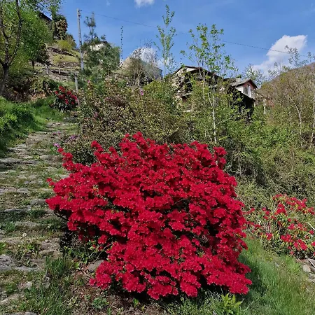 Casa Piccola * Falmenta