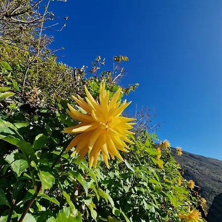 Casa Piccola Vakantiehuis Falmenta