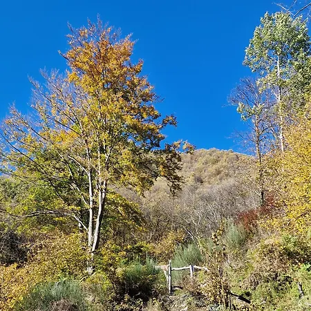 Casa Piccola Vakantiehuis Falmenta