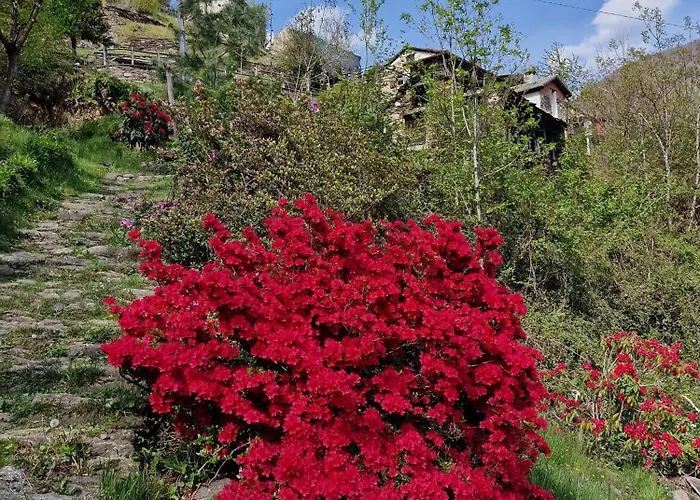 Casa Piccola * Falmenta