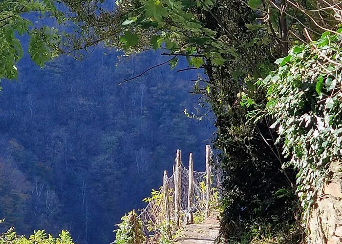 Hébergement de vacances Casa Piccola