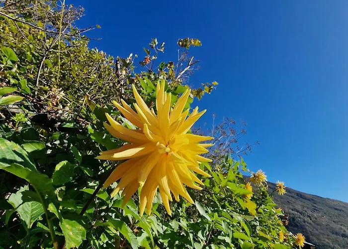 Casa Piccola Hébergement de vacances Falmenta